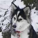 Estee was adopted in January, 2003